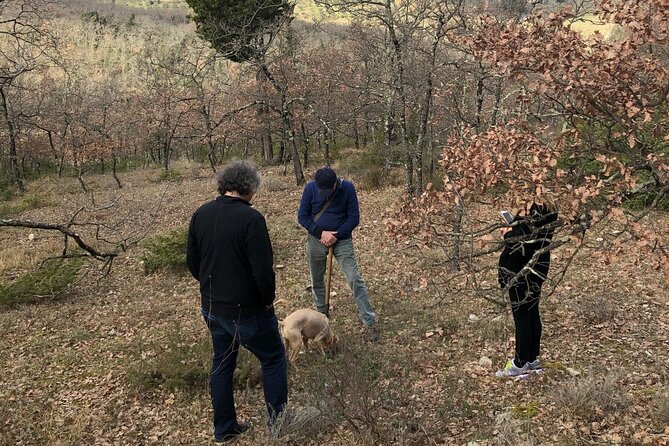 Private Truffle Hunt in Tuscany - Authenticity and Value