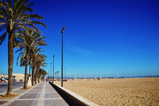 Private Valencia Beach Segway Tour - Why Choose the Private Valencia Beach Segway Tour?