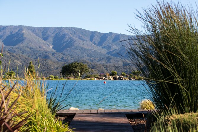 Private Vineyard Tour and Wine Tasting - Good To Know