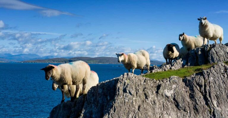 Private Wild Atlantic Day Tour from Cork