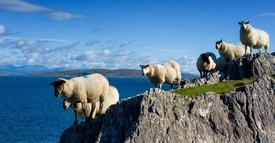 Private Wild Atlantic Day Tour from Cork - Itinerary Options: From Iconic to Off-the-Beaten-Path