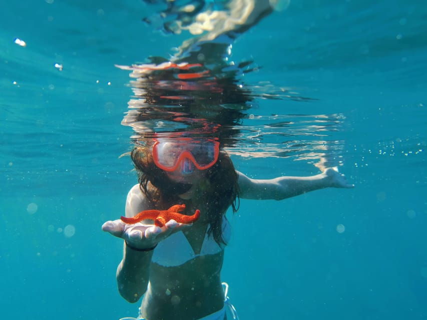 Pula Snorkeling Adventure Boat Trip - The Experience and Why It Matters