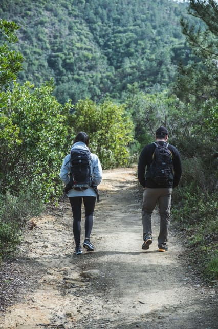 Punta Baffe: hiking immersed in the Mediterranean bush overlooking the sea