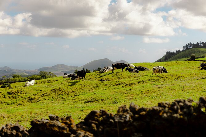Quad Bike Tour - Lagoa de Fogo (Half Day) - What to Expect from the Quad Bike Experience  