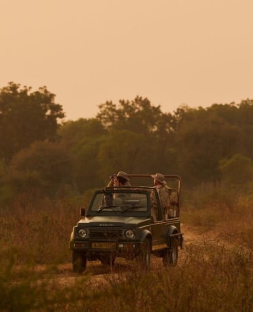 Ranthambhore: Ranthambhore Tiger Reserve Booking