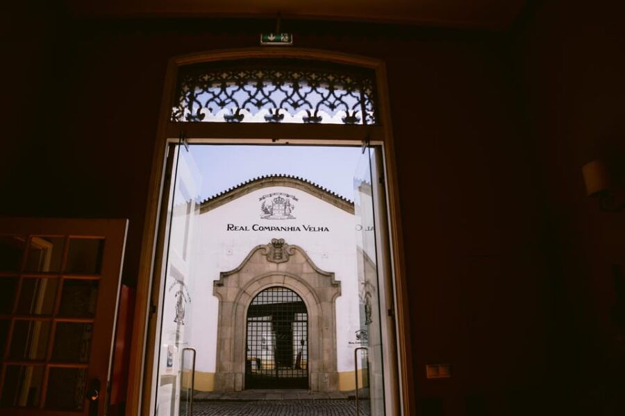 Real Companhia Velha Single Harvest Tour - Exploring the Tour in Detail