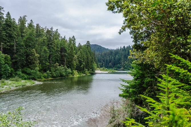 Redwood National and State Parks Self-Guided Audio Driving Tour - The Itinerary Explored in Detail