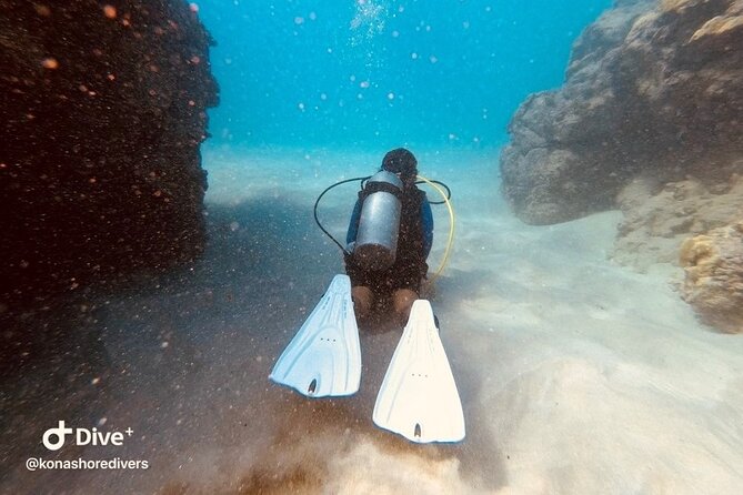 Refresher Scuba Dive