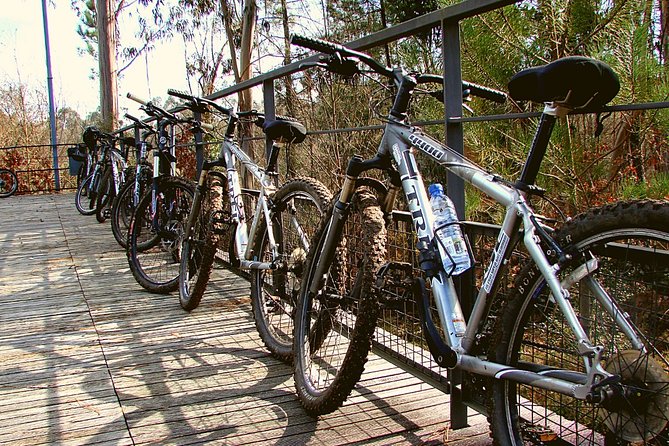Rent Bikes / E-Bikes - Who Would Love This Experience?