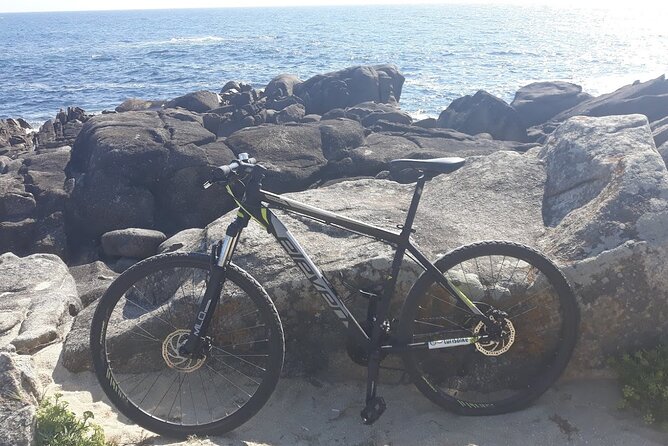 Rent mountain bike for bike path old railway to Famalicão