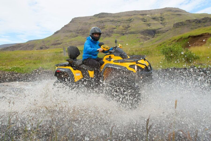 Reykjavik: ATV Ride & Whale Watching Boat Tour - From Pickup to Drop-off: The Logistics