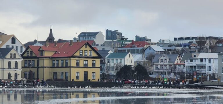 Reykjavik City private tour: Hallgrímskirkja, Perlan & More!