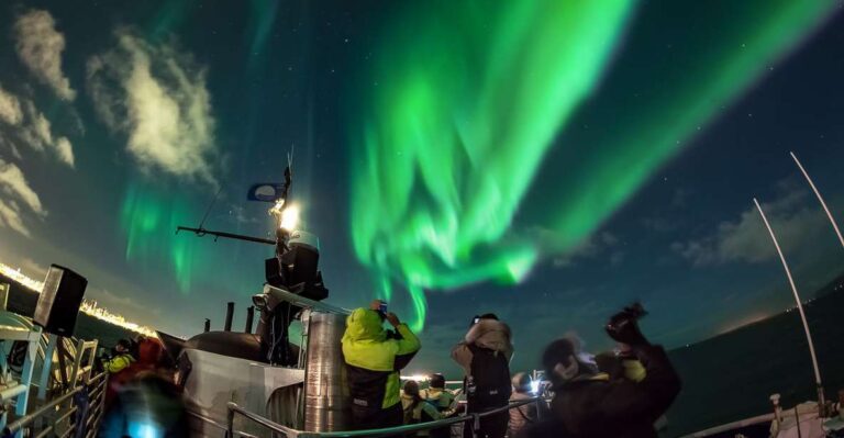 Reykjavik: Northern Lights Guided Boat Tour