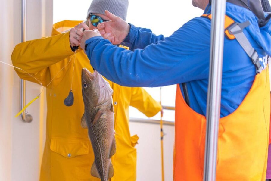 Reykjavik: Sea Fishing Boat Tour & BBQ with the Day's Catch - Starting from Reykjavik’s Old Harbor