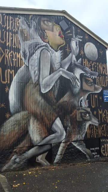 Reykjavik: Street Art Walking Tour - Good To Know