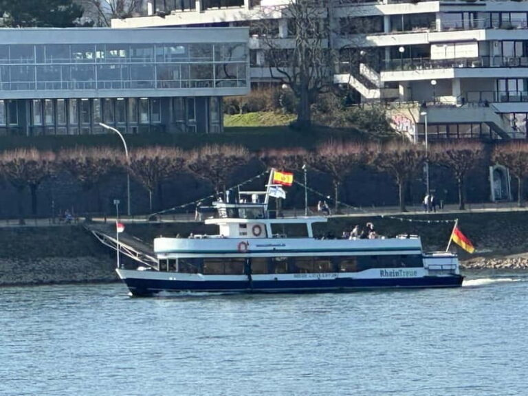 RhineRiverBoatTour from Bonn to Königswinter with Live Guide