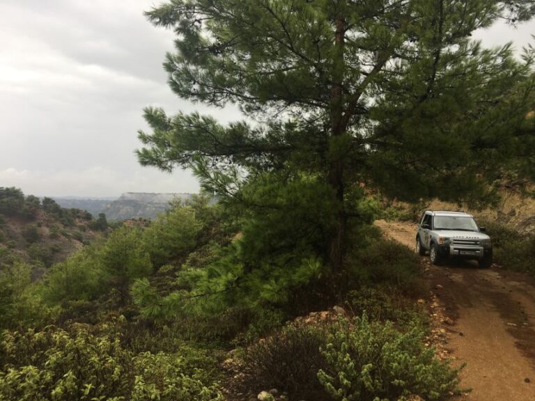 Rhodes North Safari: Hidden Paths & Scenic Flavors