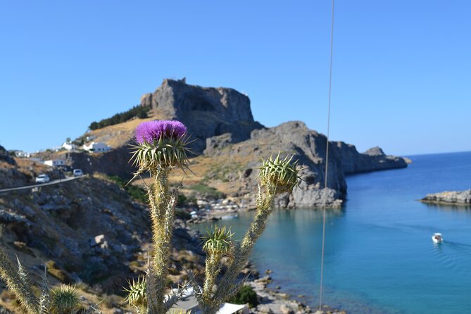 Rhodos-Vip: Guided Tour to Lindos village + Butterflies Valley - An In-Depth Look at the Rhodos-Vip Tour