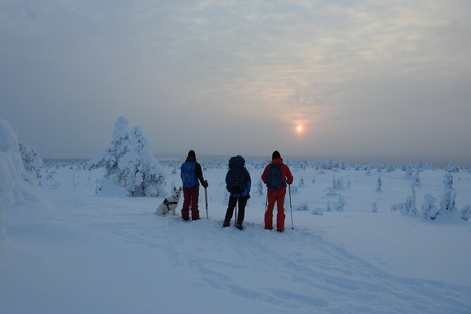 Riisitunturi National Park Snowshoe Experience