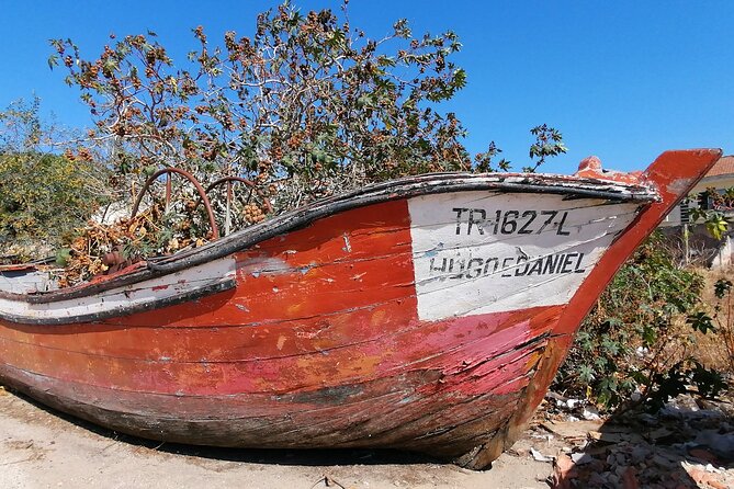 River Tejo South Margin - Who Will Love This Tour?