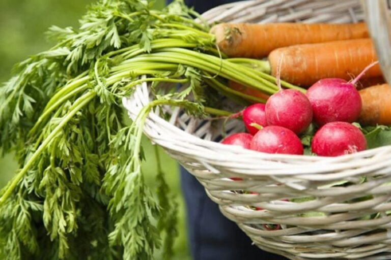 Rome: Cooking Lesson to learn the Secrets of Italian Cuisine