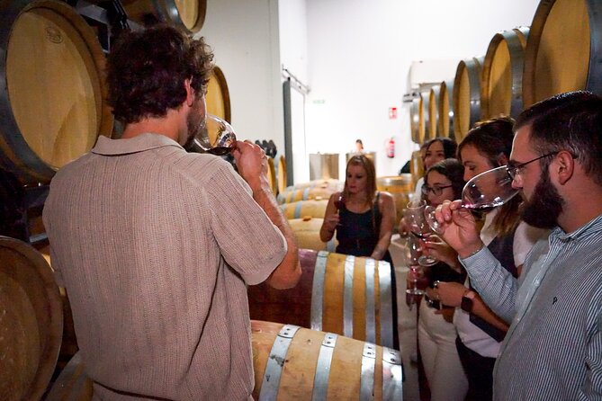 Ronda from Malaga: Top Quality Wine Tour & city exploring