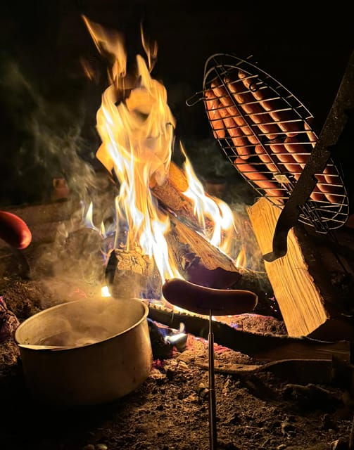 Rovaniemi: Aurora hunting and a fireside BBQ experience - Practical Aspects and Value