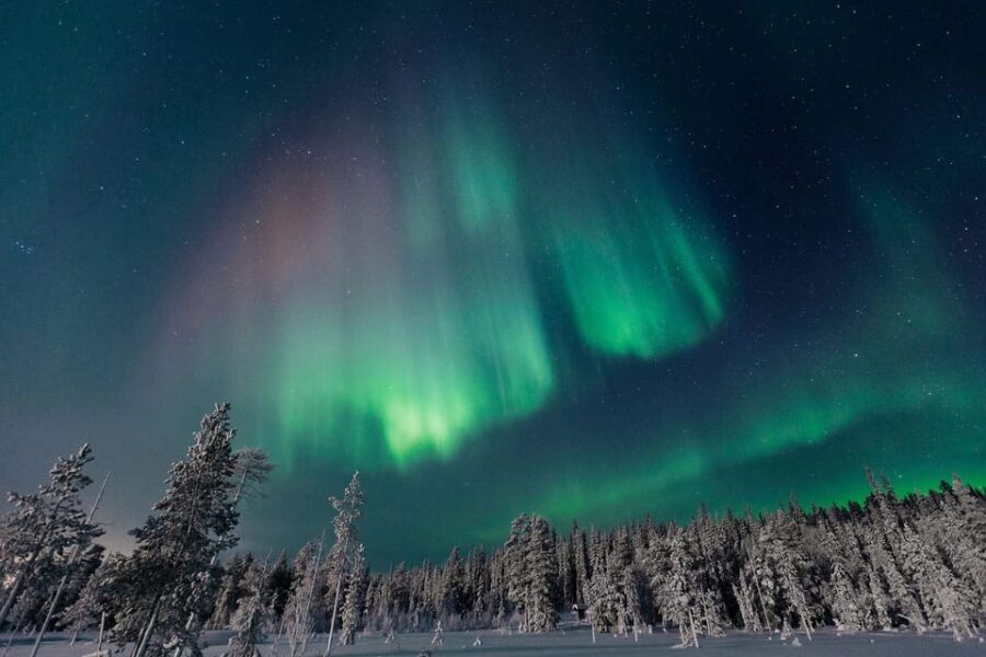 Rovaniemi: Aurora Hunting Tour in the Forest with Hot Drinks - Introduction: A Truly Arctic Experience