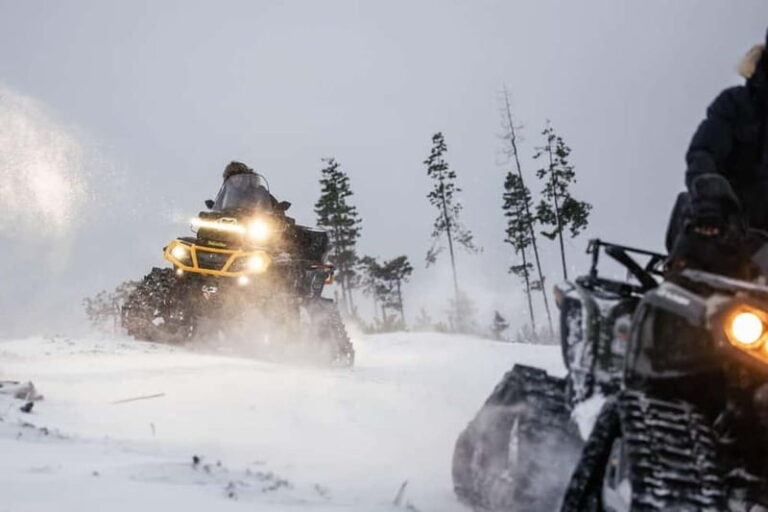 Rovaniemi Expedition “INTO THE WILD” and Glass Igloo Lunch