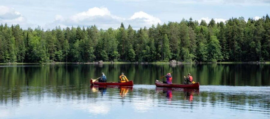Rovaniemi: Guided Wilderness Kayaking Adventure - An In-Depth Look at the Rovaniemi Kayaking Experience