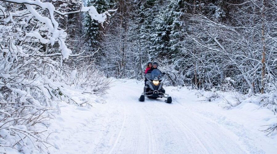 Rovaniemi: Guided Wilderness Snowmobile Safari & Barbeque - Setting the Scene: What the Tour Looks Like