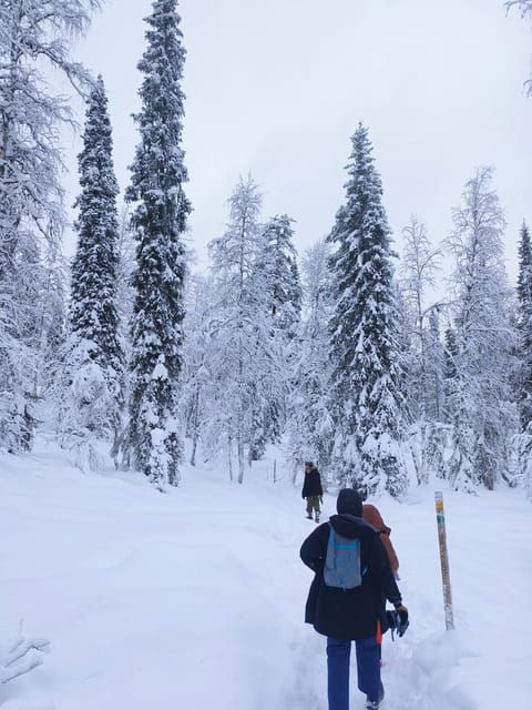 Rovaniemi: Korouoma Canyon Frozen Waterfalls Guided Hike - What to Expect from the Korouoma Canyon Hike