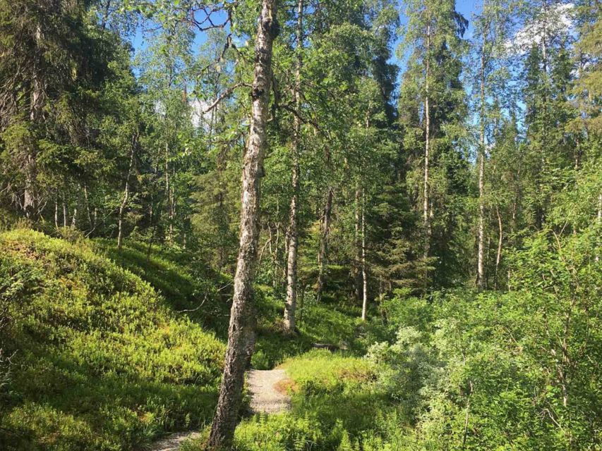 Rovaniemi: Korouoma Canyon & Waterfalls Tour with BBQ - What to Expect on the Day