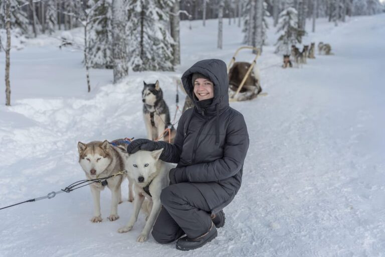 Rovaniemi: Snowmobile Safari, Reindeer & Husky Sleigh Ride