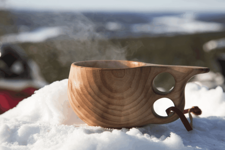 Rovaniemi: Snowmobile Sprint Safari