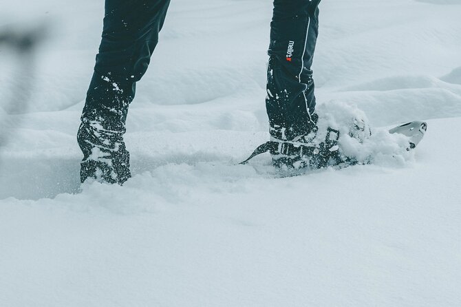 Rovaniemi: Snowshoeing in a magical snowy forest - Good To Know