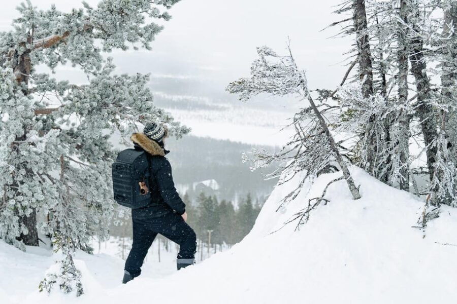Rovaniemi: Snowshoeing in the Arctic Wilderness - Exploring Rovaniemi’s Snowshoe Adventure Step-by-Step  