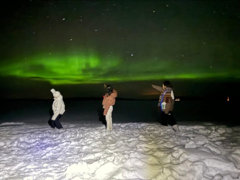 Rovaniemi:Northern Lights Hunt in Lapland Wilderness