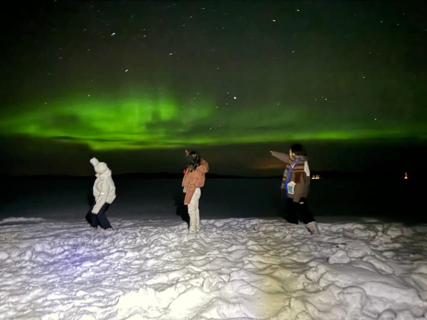 Rovaniemi:Northern Lights Hunt in Lapland Wilderness - Why This Tour Works Well