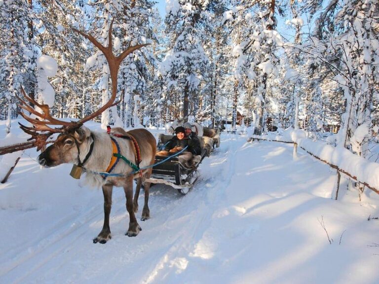 Rovaniemis Magical Christmas Tour: Santas Home