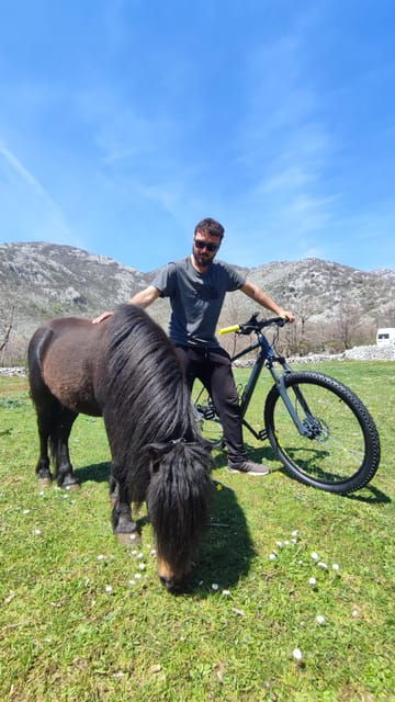 Rural biking & wine tasting tour - An In-Depth Look at the Rural Biking & Wine Tasting Tour