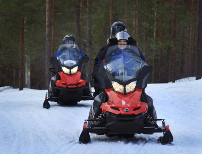 Saariselka: Snowmobile Safari on Tundra with BBQ