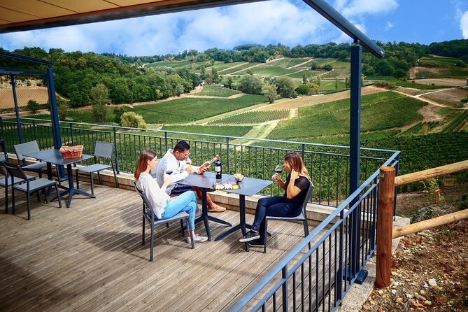 Saint-Emilion Grand Cru Classé: Gourmet Visit in English - The Itinerary: What You Can Expect