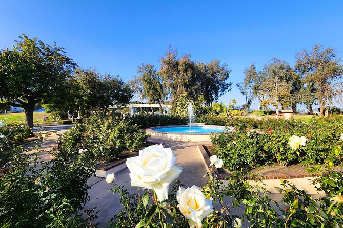 San Diego Balboa Park Walking Tour - What to Expect from the San Diego Balboa Park Walking Tour