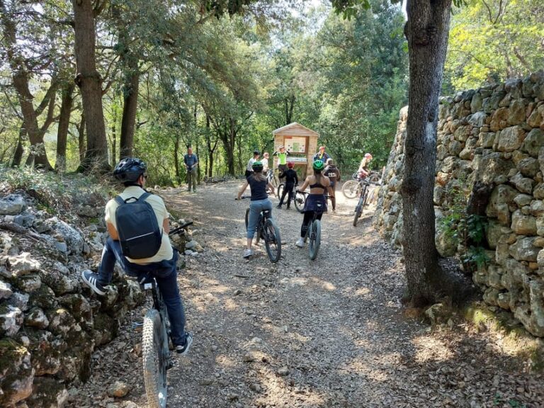 San Gimignano: E-Bike Tour with Tasting