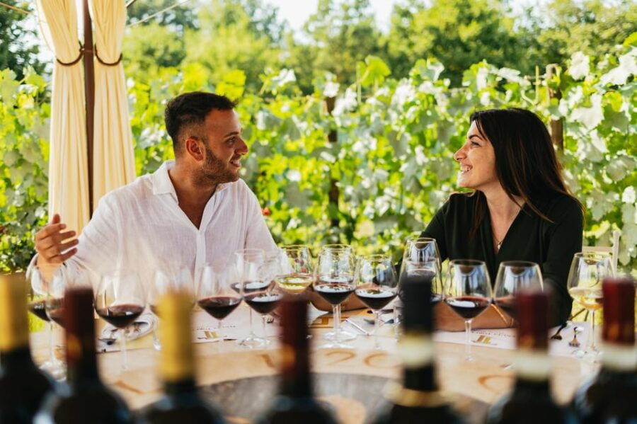 San Gimignano: Tuscan Vineyard Lunch with Wine Tasting - What to Expect at the San Gimignano Vineyard Lunch