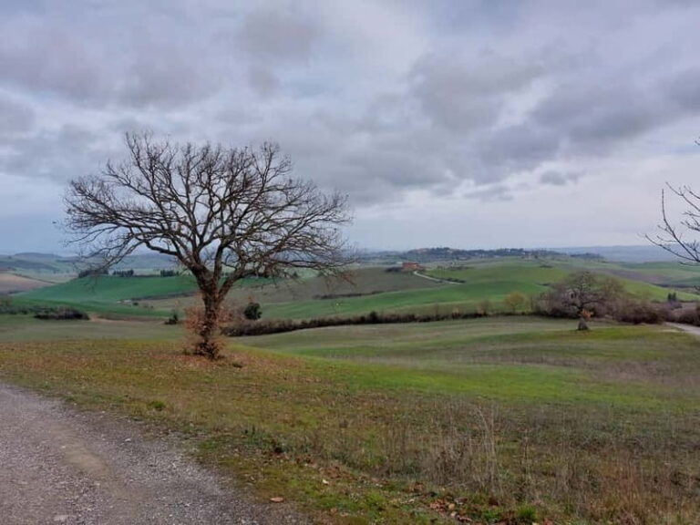 San Miniato: e-bike tour (truffle hills) and brunch