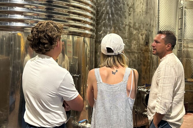 Santorini Mini Wine Tasting Tour at 2 Wineries