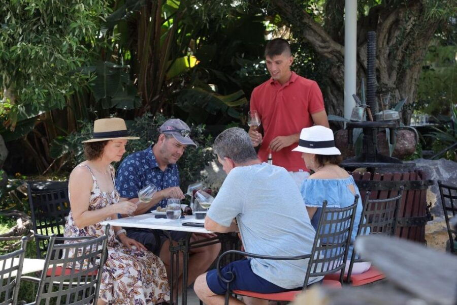 Santorini: Tour of Wineries with Wine Tasting & Food - The Experience in Detail