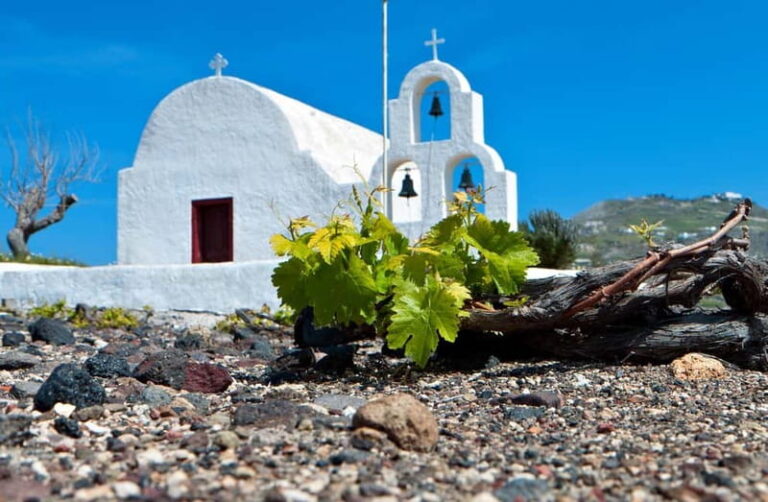 Santorini’s “Wine Roads”: Wine Tasting Tour at 3 Wineries